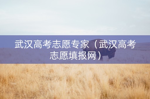 武汉高考志愿专家（武汉高考志愿填报网）