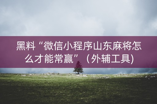 黑料“微信小程序山东麻将怎么才能常赢”（外辅工具)