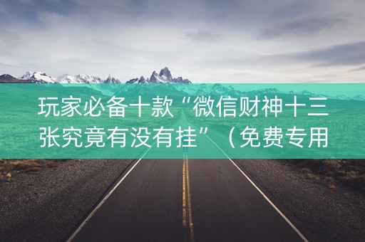 玩家必备十款“微信财神十三张究竟有没有挂”（免费专用神器)