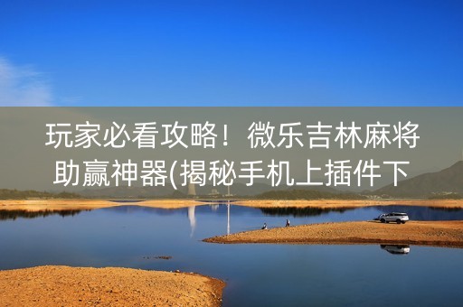 玩家必看攻略！微乐吉林麻将助赢神器(揭秘手机上插件下载)
