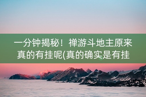 一分钟揭秘！禅游斗地主原来真的有挂呢(真的确实是有挂)