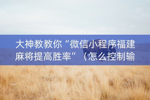 大神教教你“微信小程序福建麻将提高胜率”（怎么控制输赢)