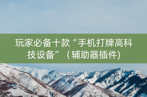 玩家必备十款“手机打牌高科技设备”（辅助器插件)