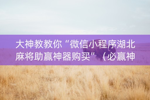 大神教教你“微信小程序湖北麻将助赢神器购买”（必赢神器)