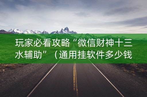 玩家必看攻略“微信财神十三水辅助”（通用挂软件多少钱)
