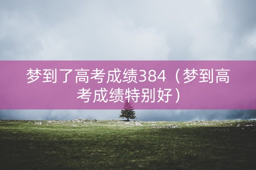 梦到了高考成绩384（梦到高考成绩特别好）