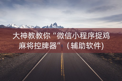 大神教教你“微信小程序捉鸡麻将控牌器”（辅助软件)