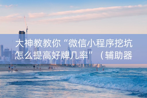 大神教教你“微信小程序挖坑怎么提高好牌几率”（辅助器下载)