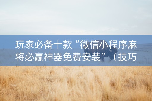 玩家必备十款“微信小程序麻将必赢神器免费安装”（技巧和打好牌方法)