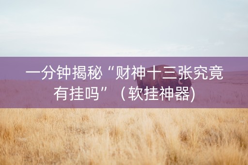 一分钟揭秘“财神十三张究竟有挂吗”（软挂神器)