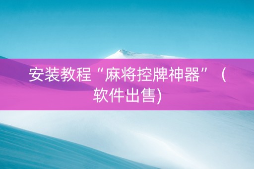 安装教程“麻将控牌神器”（软件出售)