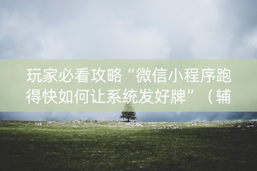 玩家必看攻略“微信小程序跑得快如何让系统发好牌”（辅助器下载)
