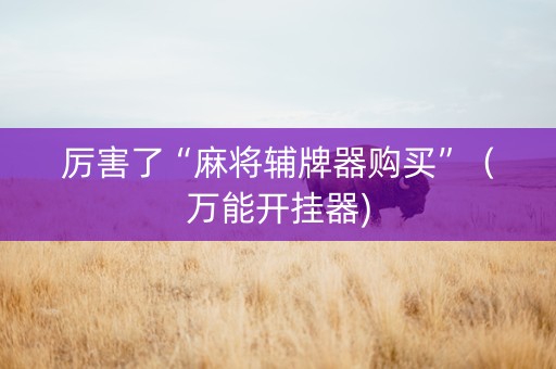 厉害了“麻将辅牌器购买”（万能开挂器)