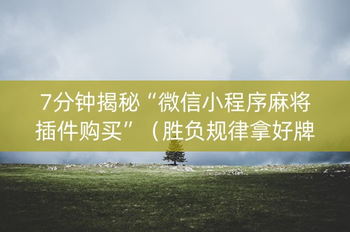 7分钟揭秘“微信小程序麻将插件购买”（胜负规律拿好牌)