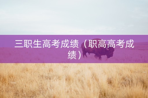 三职生高考成绩（职高高考成绩）