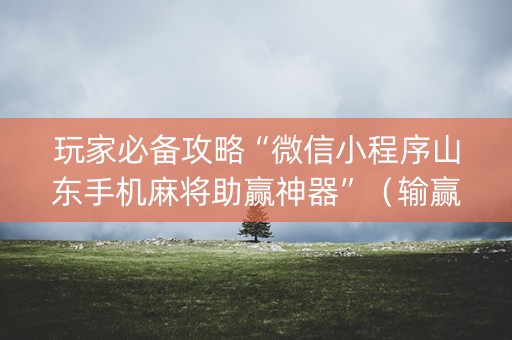玩家必备攻略“微信小程序山东手机麻将助赢神器”（输赢有什么规律)
