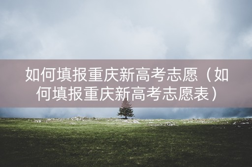 如何填报重庆新高考志愿（如何填报重庆新高考志愿表）