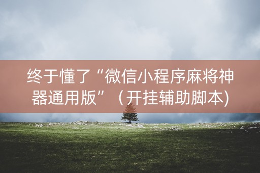 终于懂了“微信小程序麻将神器通用版”（开挂辅助脚本)