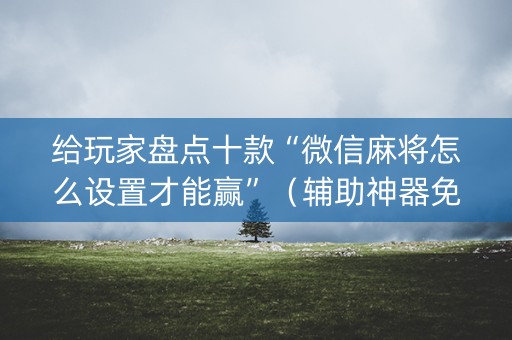 给玩家盘点十款“微信麻将怎么设置才能赢”（辅助神器免费)