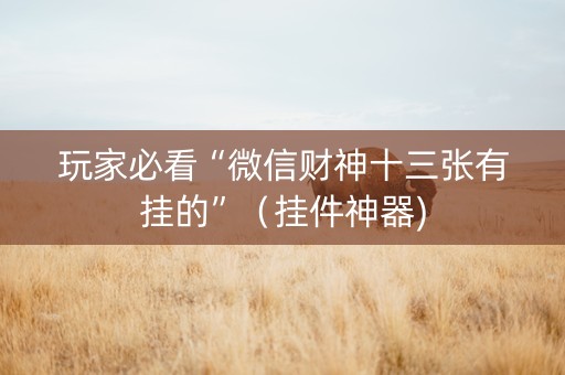 玩家必看“微信财神十三张有挂的”（挂件神器)