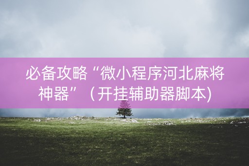 必备攻略“微小程序河北麻将神器”（开挂辅助器脚本)