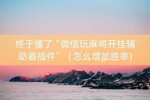 终于懂了“微信玩麻将开挂辅助器插件”（怎么增加胜率)