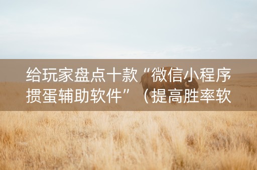 给玩家盘点十款“微信小程序掼蛋辅助软件”（提高胜率软件)