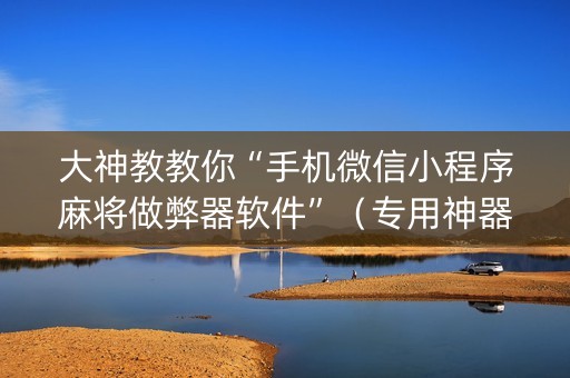 大神教教你“手机微信小程序麻将做弊器软件”（专用神器下载)