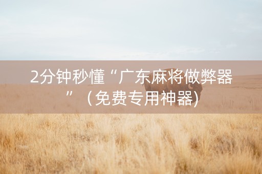 2分钟秒懂“广东麻将做弊器”（免费专用神器)