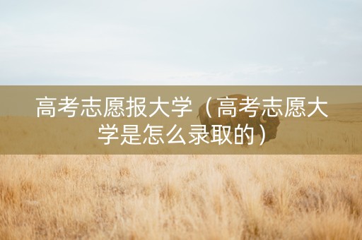 高考志愿报大学（高考志愿大学是怎么录取的）
