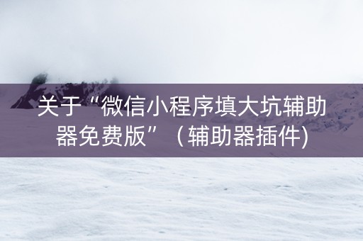 关于“微信小程序填大坑辅助器免费版”（辅助器插件)