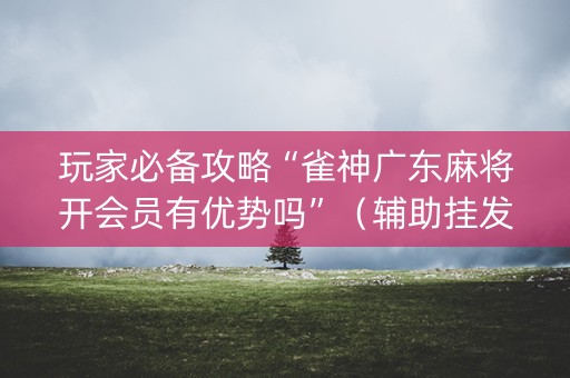 玩家必备攻略“雀神广东麻将开会员有优势吗”（辅助挂发牌规律)