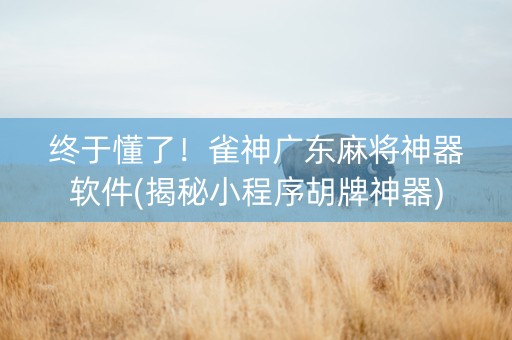 终于懂了！雀神广东麻将神器软件(揭秘小程序胡牌神器)
