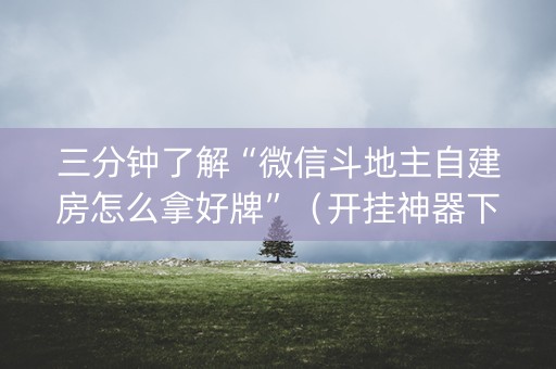 三分钟了解“微信斗地主自建房怎么拿好牌”（开挂神器下载)