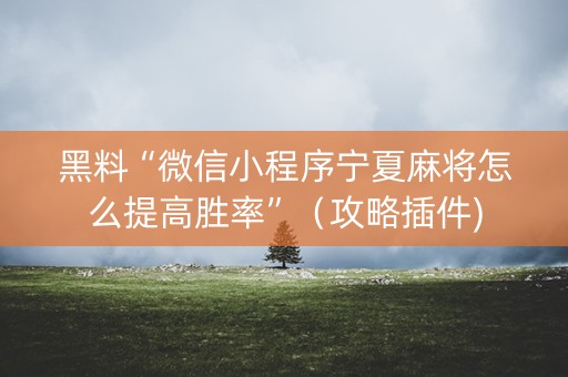 黑料“微信小程序宁夏麻将怎么提高胜率”（攻略插件)