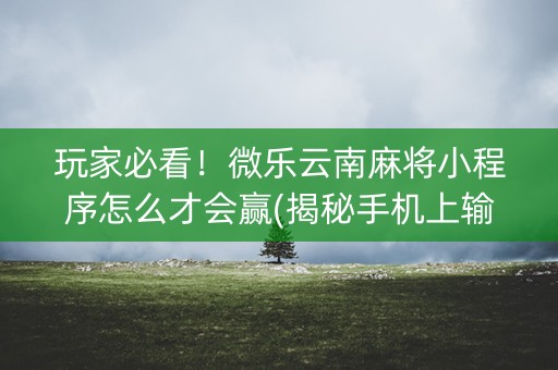 玩家必看！微乐云南麻将小程序怎么才会赢(揭秘手机上输赢规律)