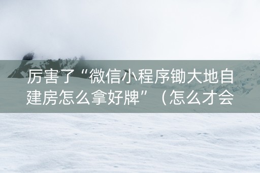 厉害了“微信小程序锄大地自建房怎么拿好牌”（怎么才会赢)