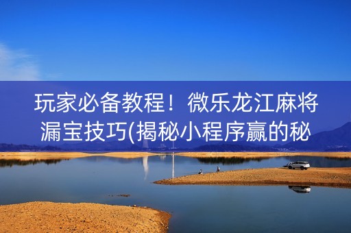 玩家必备教程！微乐龙江麻将漏宝技巧(揭秘小程序赢的秘诀)