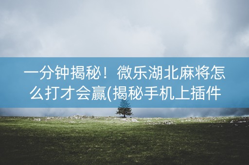 一分钟揭秘！微乐湖北麻将怎么打才会赢(揭秘手机上插件下载)