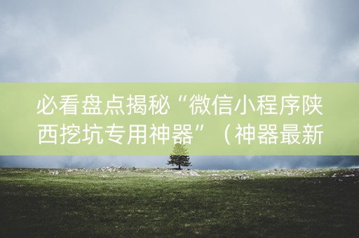 必看盘点揭秘“微信小程序陕西挖坑专用神器”（神器最新免费)