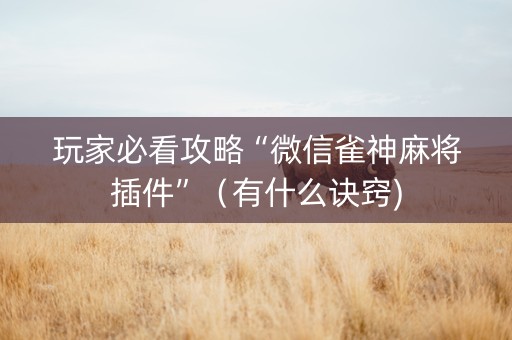 玩家必看攻略“微信雀神麻将插件”（有什么诀窍)
