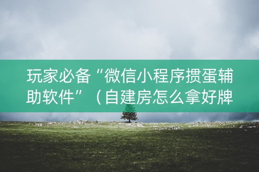 玩家必备“微信小程序掼蛋辅助软件”（自建房怎么拿好牌)