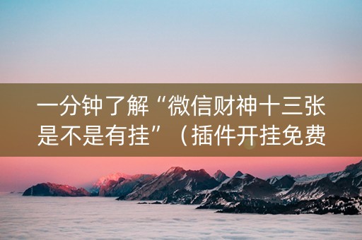 一分钟了解“微信财神十三张是不是有挂”（插件开挂免费AI)