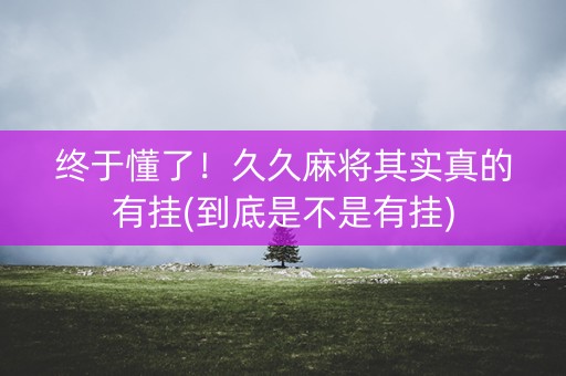 终于懂了！久久麻将其实真的有挂(到底是不是有挂)
