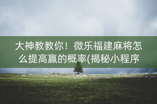 大神教教你！微乐福建麻将怎么提高赢的概率(揭秘小程序最新神器下载)