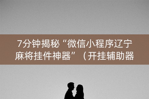 7分钟揭秘“微信小程序辽宁麻将挂件神器”（开挂辅助器插件)