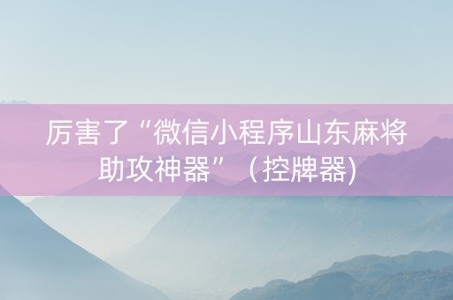 厉害了“微信小程序山东麻将助攻神器”（控牌器)