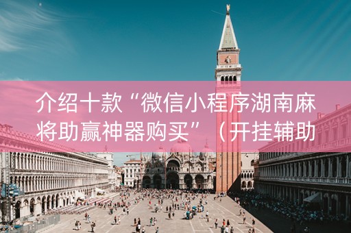 介绍十款“微信小程序湖南麻将助赢神器购买”（开挂辅助器插件)