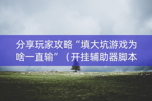 分享玩家攻略“填大坑游戏为啥一直输”（开挂辅助器脚本)