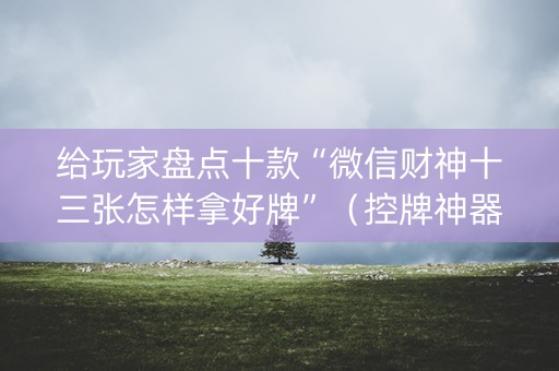 给玩家盘点十款“微信财神十三张怎样拿好牌”（控牌神器)